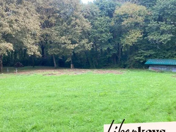 ✨ Opportunité Rare : Terrain Constructible et arboré à Sainte Colombe