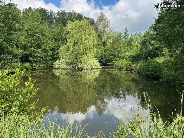 Terrain 15604 m²