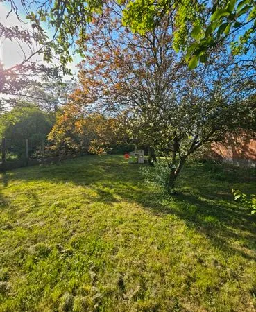 Location maison Loos-en-Gohelle disponible Janvier 2027