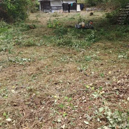 Terrain agricole