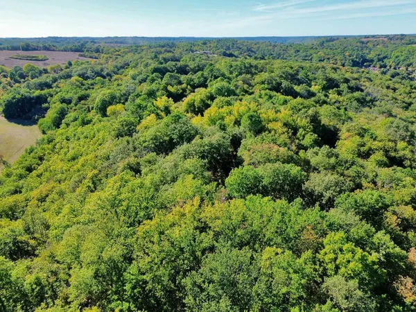 FORÊT DE PLUS DE 10 HECTARES