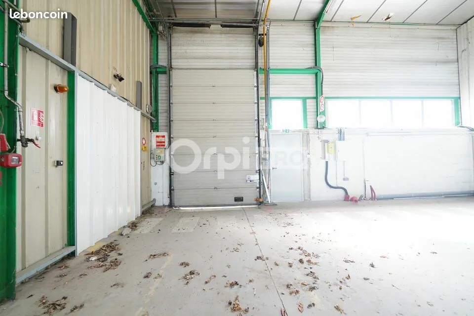 Photo 11