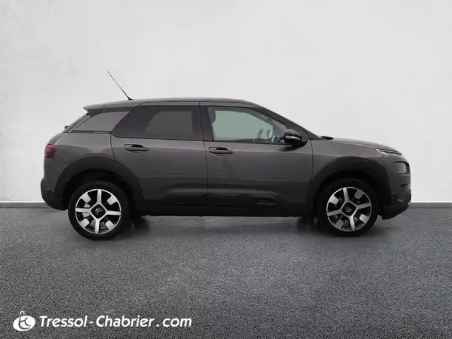 Citroën C4 cactus bluehdi 100 s&amp;s bvm6 shine — photo 6