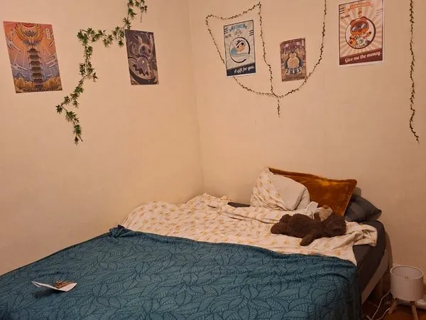 Colocation chambre 13m2