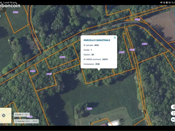 Terrain forestier