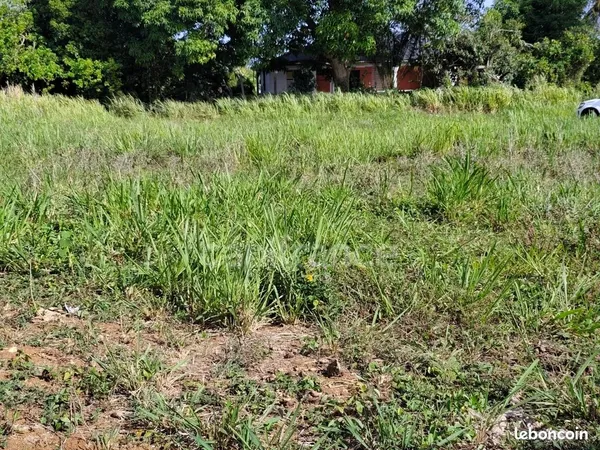 Terrain 800 m² Sainte Rose