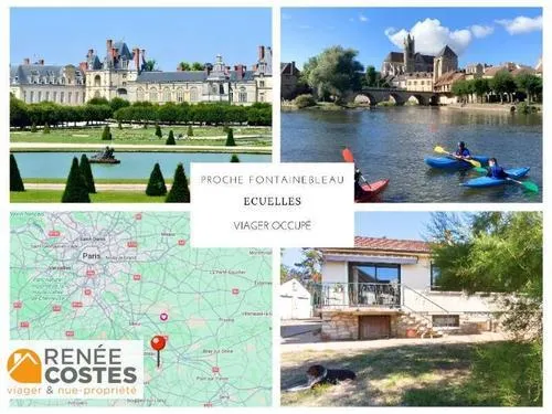 Viager occupé - F75 ans - FONTAINEBLEAU (77300)