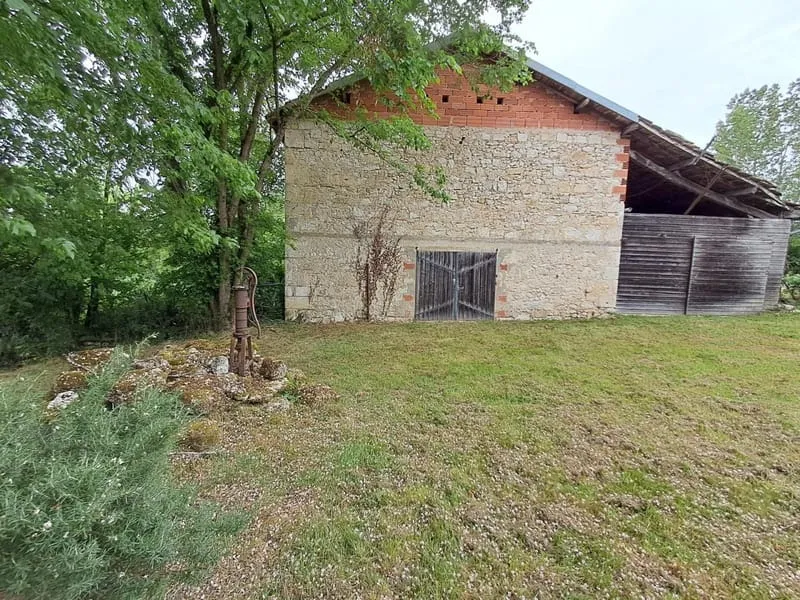 Photo 23