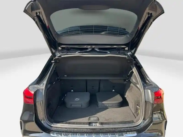 Mercedes Eqa 250+ — photo 10