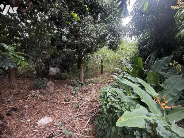 Terrain 645 m²
