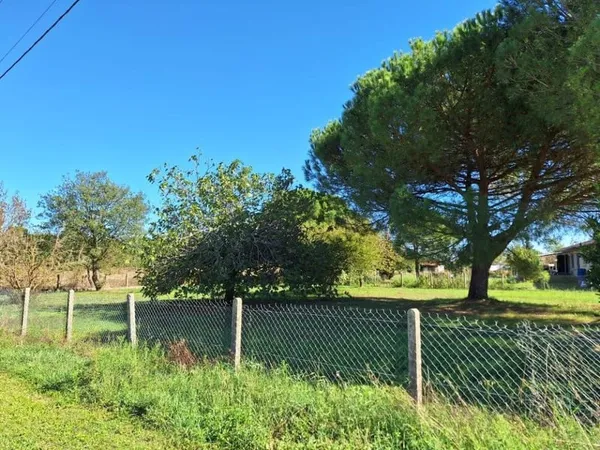 Terrain 800 m²