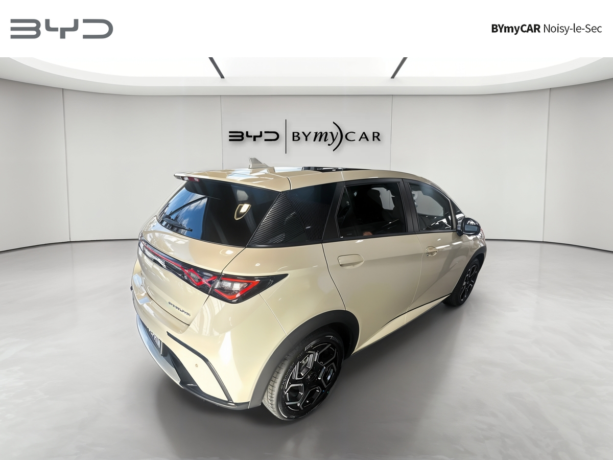 BYD Dolphin 60,4 kWh 204 ch — photo 5