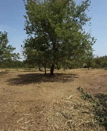 Terrain agricole 7967m2 za ELNE