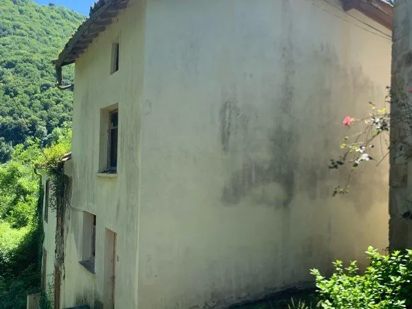 Maison et terrains