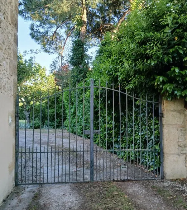 Photo 8