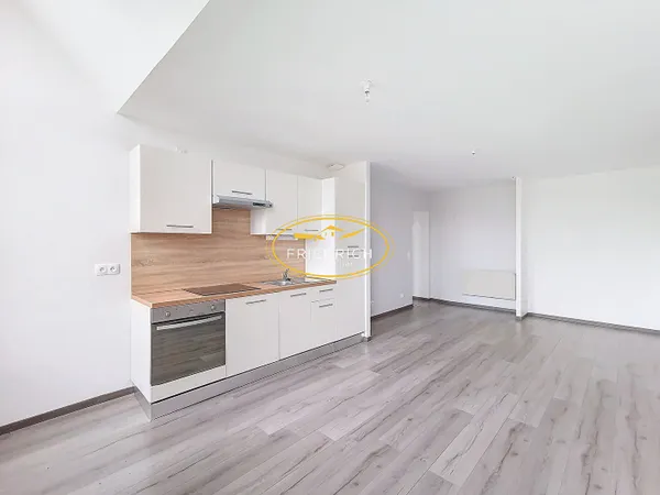 Appartement type F2 rénové en centre-ville