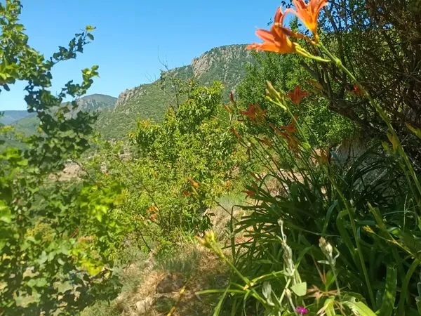 Mini-Ferme : Châtaigneraie 2ha, Serres 150m² & Source (07)
