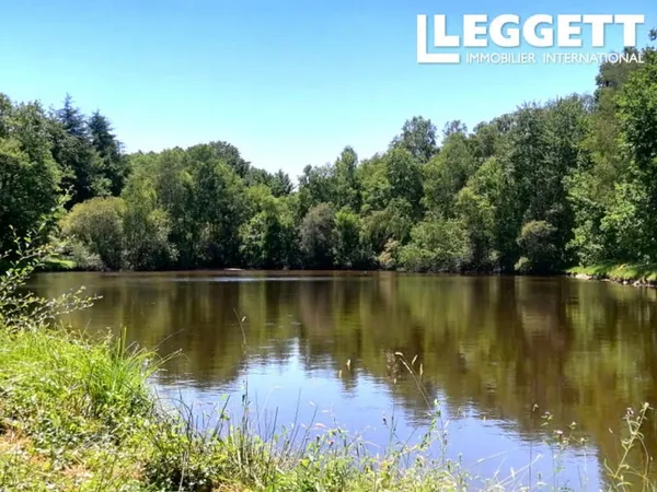 Etang sur un terrain de 19 160 m², au milieu de la forêt. Environnement magnifique.