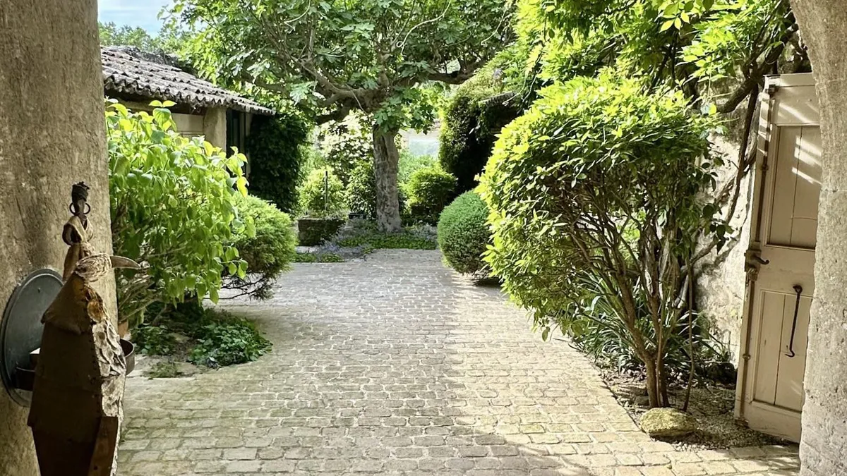 Photo 6