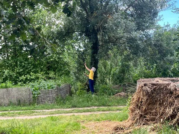 Terrain de loisir et potager