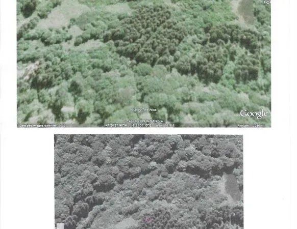 Vente d'une forêt/étang