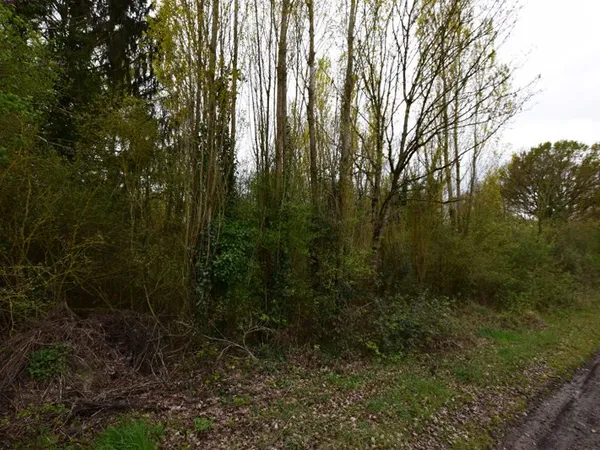 Terrain Saint Ouen En Brie 1060 m2