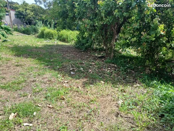 Terrain Ducos