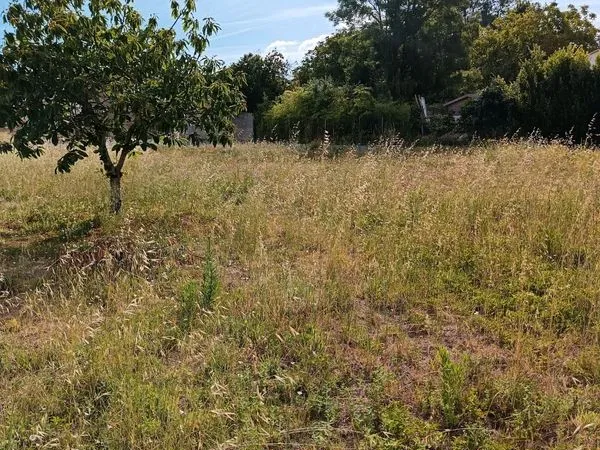 Terrain constructible