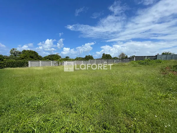 Terrain 920 m²