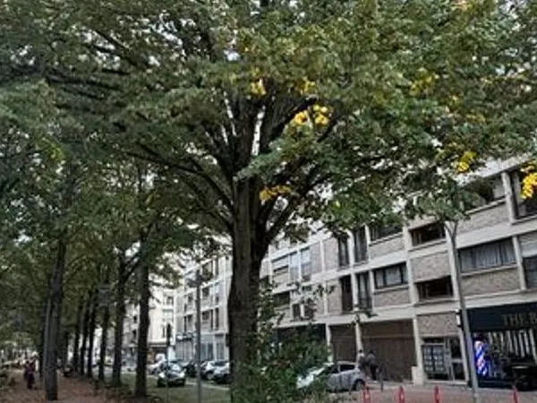 Appartement 2 pièces 61 m²