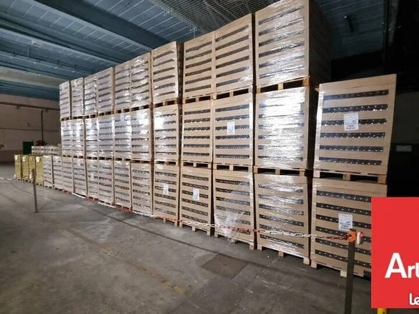 ENTREPOT - LOGISTIQUE 240 m² DISSAY