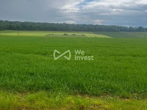 Terrain 1260 m² Pierrepont