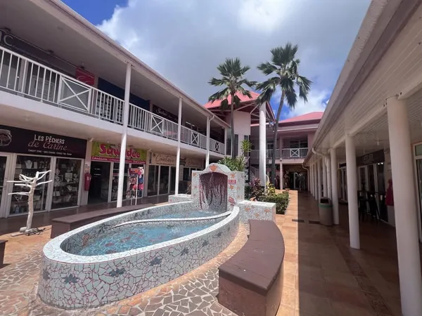 Spécial Investisseur : Local commercial de 53M2 en centre vi