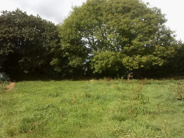 Terrain en individuel 730 m²