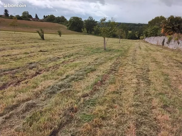 Terrain constructible