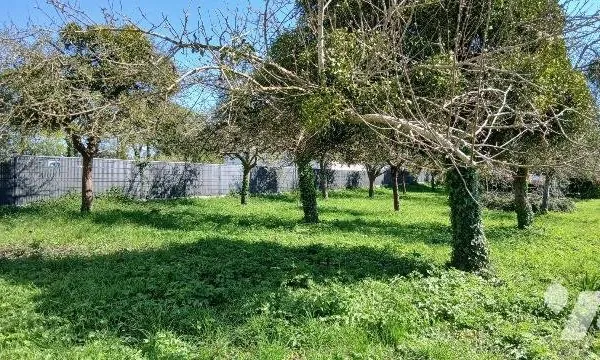 Terrain 1080 m²