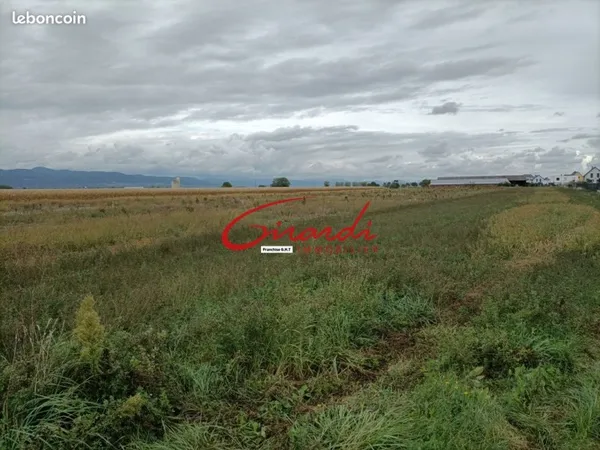 Terrain 558 m² Oberentzen