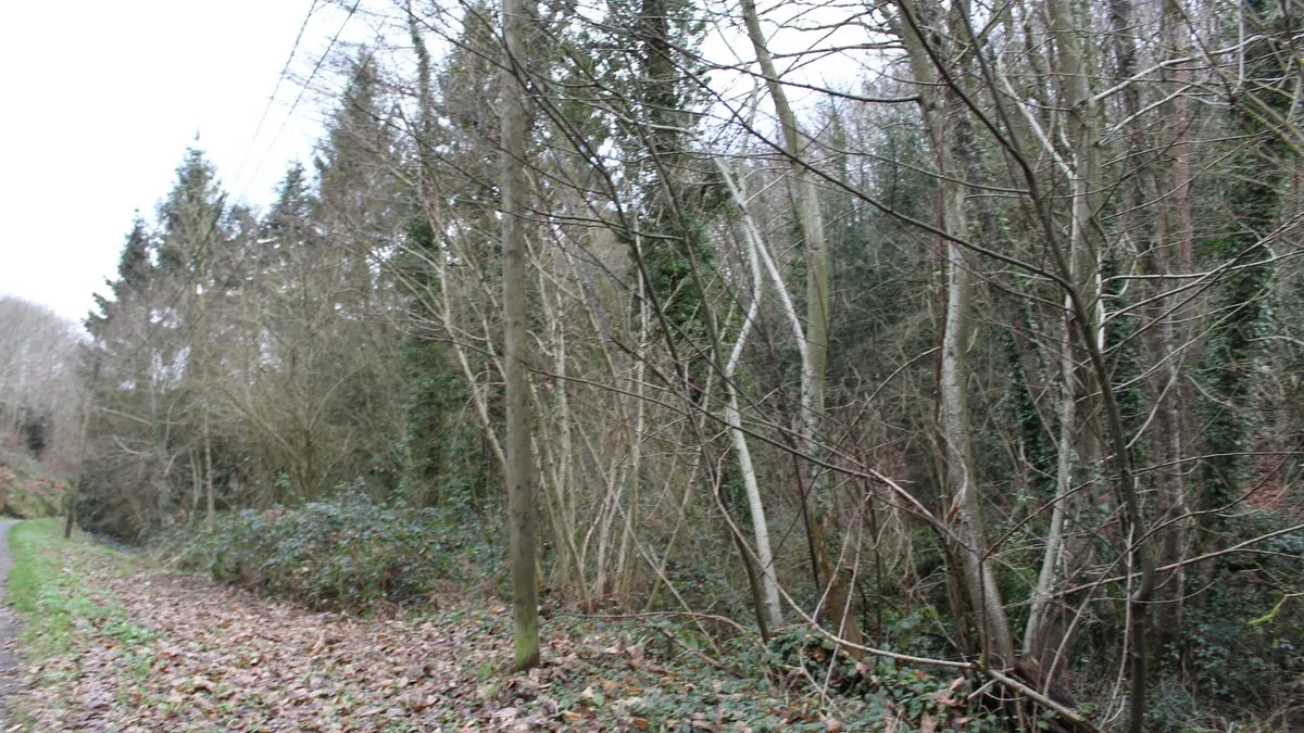 Photo 2