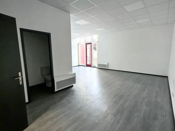 Local professionel à louer