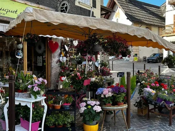 Boutique 3 pièces 50 m²
