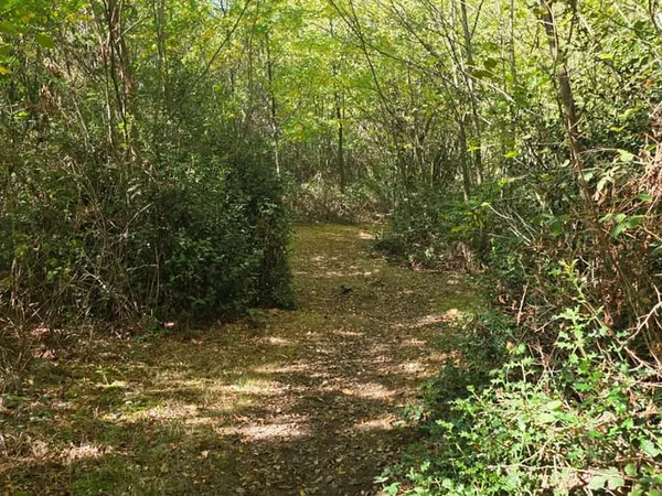 Terrain 22165 m²