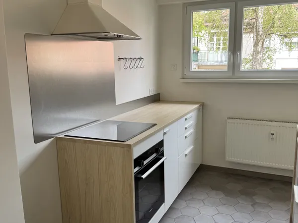Bel appartement Strasbourg