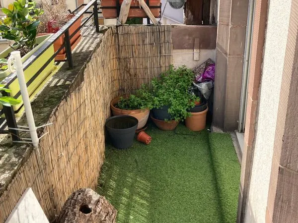 Appartement Neudorf 3 pièces 55m2