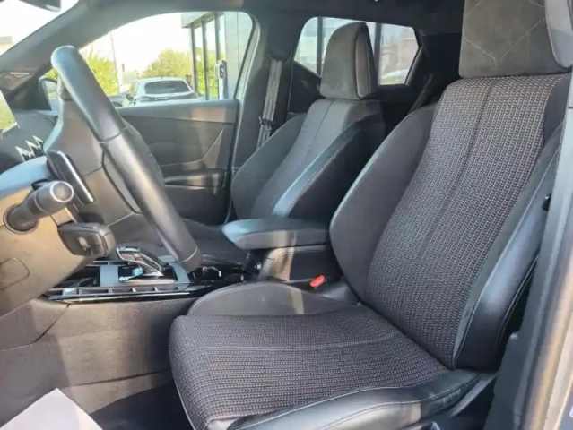 Ds Ds 3 1.2 puretech 130 auto performance line + — photo 19