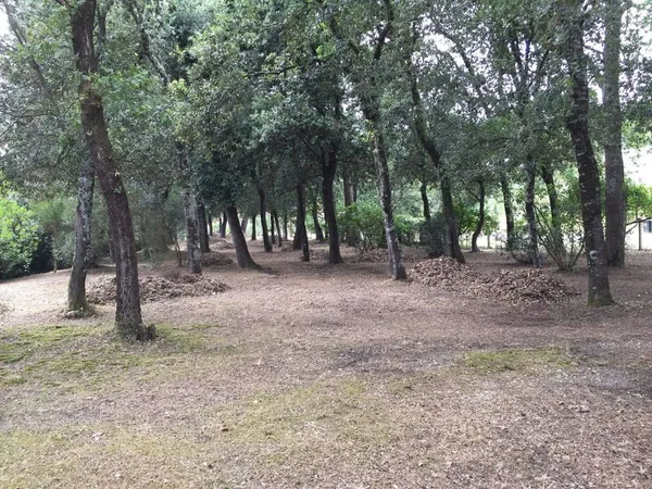 Terrain 835 m²