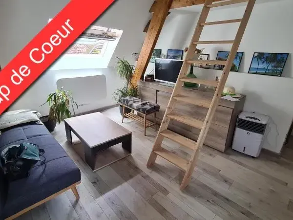 Appartement 1 pièce 20 m²