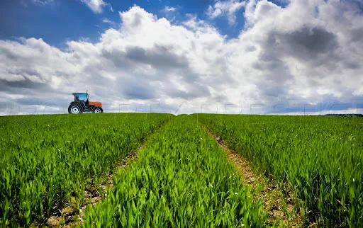 Exploitation agricole 5 pièces