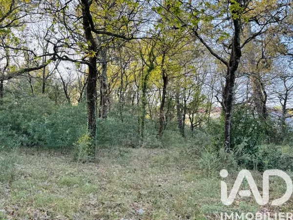 Terrain 800 m²