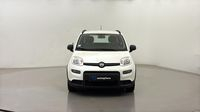 Fiat Panda 1.0 70ch BSG S&S City Life (Juin2021)