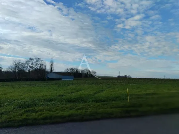 Magnifique terrain!